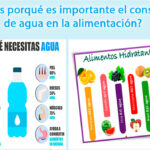 el-agua-en-los-alimentos